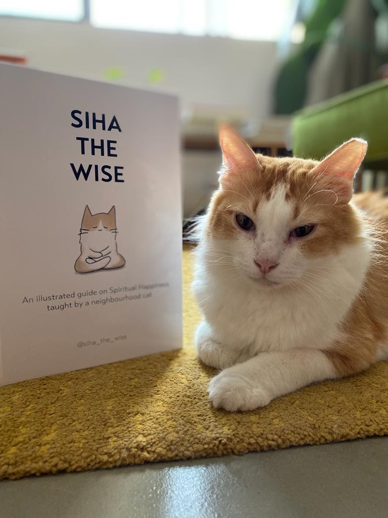 Book: Siha the Wise - An illustrated guide on Spiritual Happiness taught by a neighborhood cat