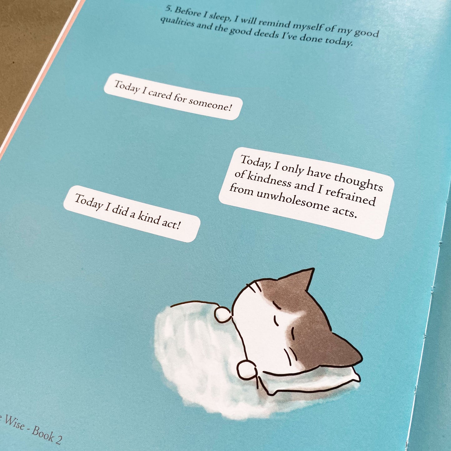 Book: (new!) Siha the Wise BOOK 2 - An illustrated guide on Spiritual Happiness taught by a neighborhood cat