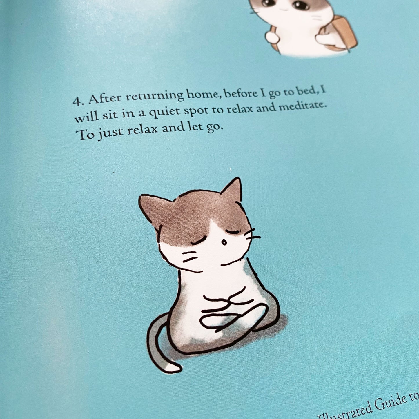 Book: (new!) Siha the Wise BOOK 2 - An illustrated guide on Spiritual Happiness taught by a neighborhood cat